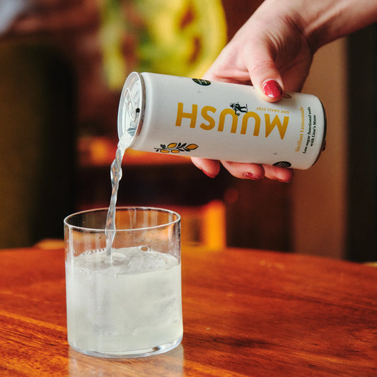 SICILIAN LEMONADE CAN (12 X 250ML)