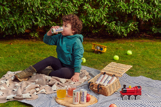 BLUEBERRY & RASPBERRY miniMUUSH CAN (200ml)