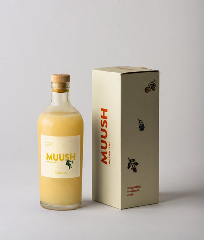Bottle and box of MUUSH SICILIAN LEMON ELIXIR on a gray background