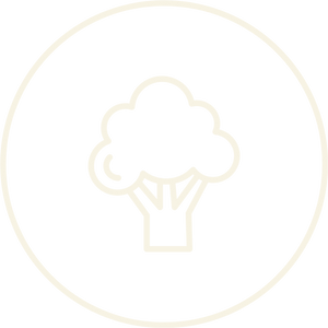 NATURALLY HIGH FIBRE