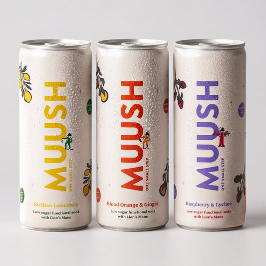Three Muush soda cans on a light gray background, showing the Sicilian Lemonade, Blood Orange & Ginger, and Raspberry & Lychee flavors with colorful vertical branding and fruit illustrations.