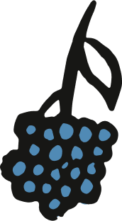 Blueberry Image
