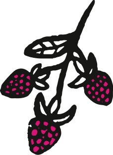 Redberry Image